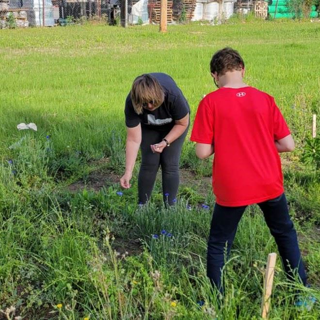 Family planting wildflower seeds